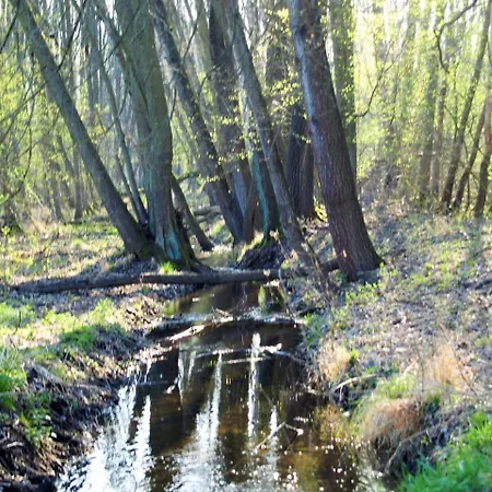 Altes Forsthaus Garzau-Garzin