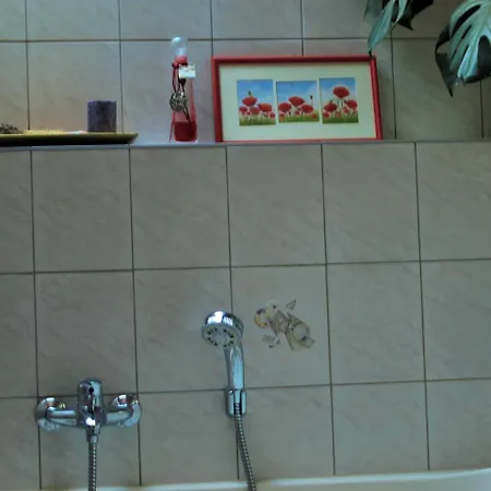 Altes Forsthaus Apartment *