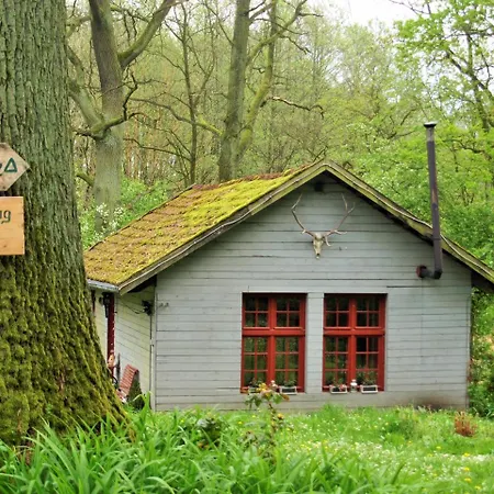 Altes Forsthaus Διαμέρισμα Garzau-Garzin