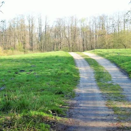Altes Forsthaus Apartment