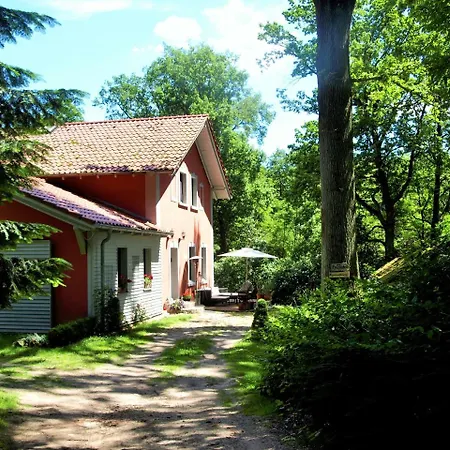 Apartment Altes Forsthaus *