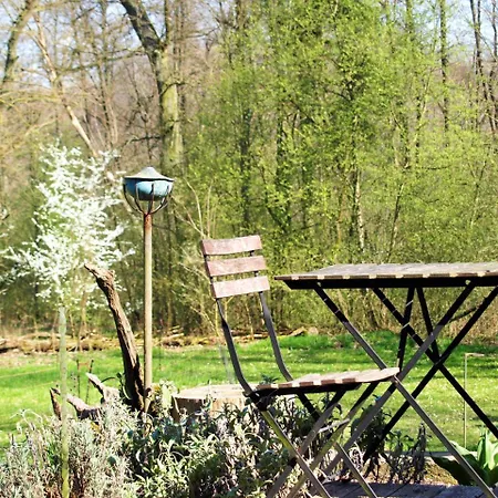 Altes Forsthaus Διαμέρισμα *