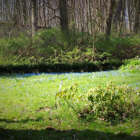 Altes Forsthaus * Garzau-Garzin