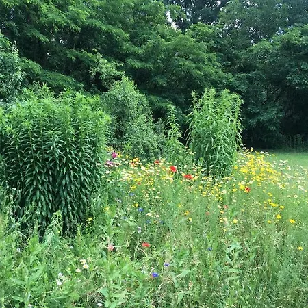 Altes Forsthaus Διαμέρισμα Garzau-Garzin