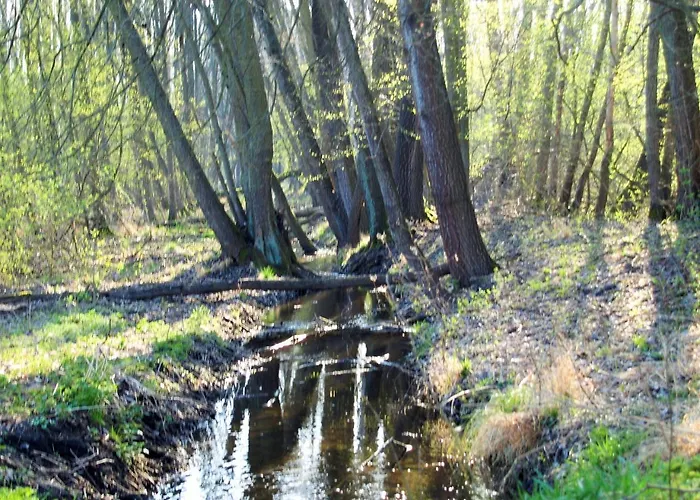 Altes Forsthaus Garzau-Garzin