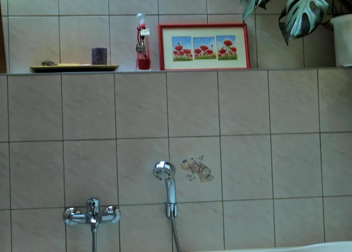 Altes Forsthaus Apartament *