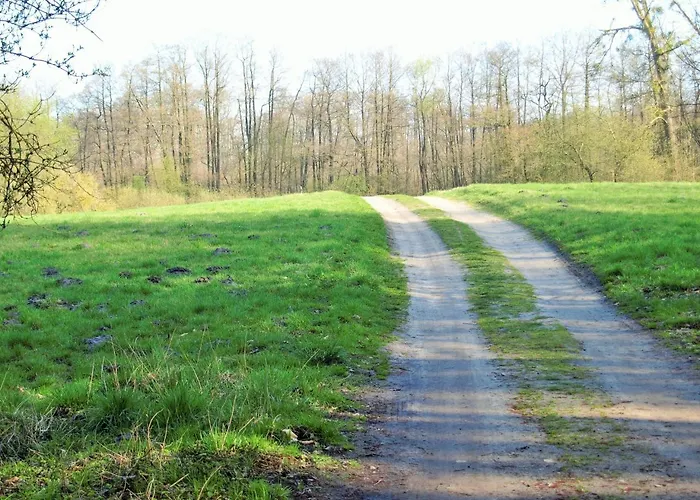 Altes Forsthaus Apartament