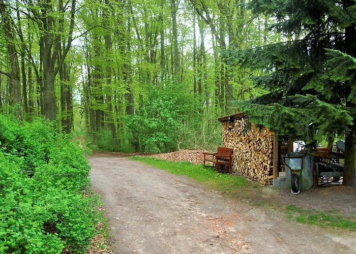 Altes Forsthaus Apartament