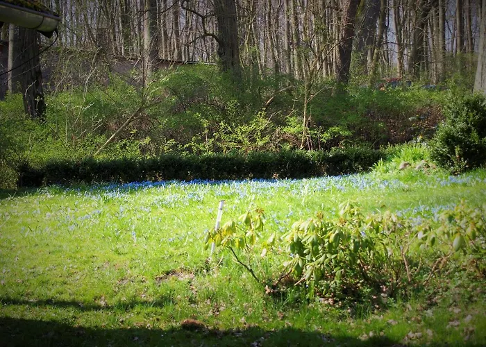 Altes Forsthaus * Garzau-Garzin