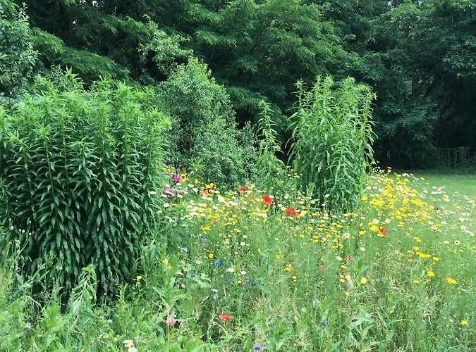 Altes Forsthaus Apartament Garzau-Garzin